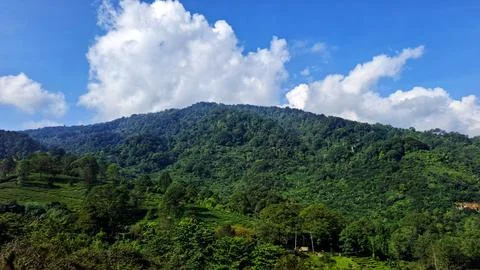 Mountains landscape. Stock Photos
