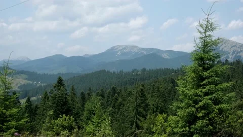 Mountains landscape with pines ,handheld Stock Footage 159549894