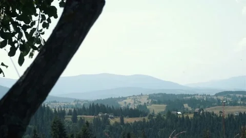 Mountains landscape with trees on foreground Stock Footage 159549854