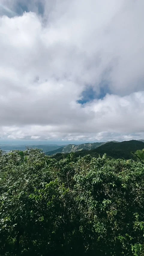 Mountains, landscape with trees, sky, tree, nature, landscape, forest, trees, Stock Footage 233743581