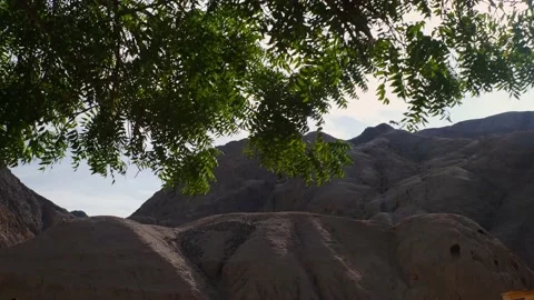 Mountains, leaves of tree branches, blue sky. Scenic view through the branches o Stock Footage 237446751