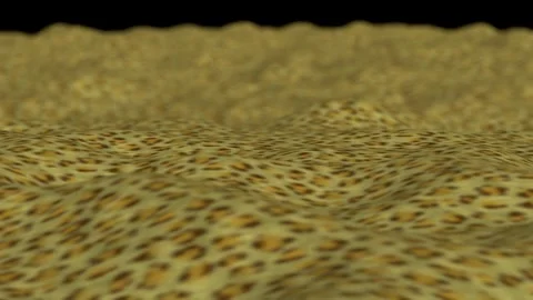 Mountains leopard fur skin texture DoF Stock Footage 301792182