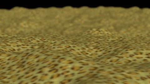Mountains leopard fur skin texture dof Video stock 302751015