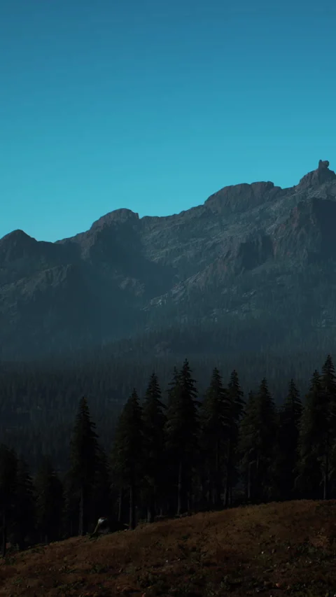 Mountains loom over a dense forest in a bright blue sky moment Stock Footage 342340436