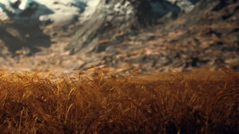 Mountains loom over golden grass in a wide open landscape during daytime Stock Footage 340613602