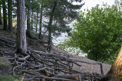 Mountains for lovers. Stock Photos