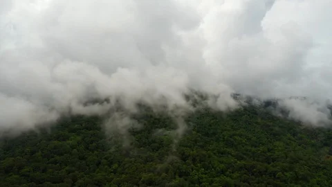 Mountains lush in rain clouds covering mountains Stock Footage 117282011