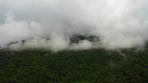 Mountains lush in rain clouds covering mountains, tropical rainforests  Stock Footage 117997940