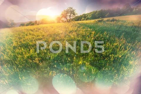 Mountains meadow Stock Photos