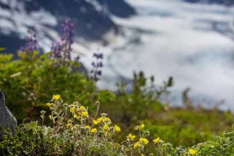 Mountains meadow Photos