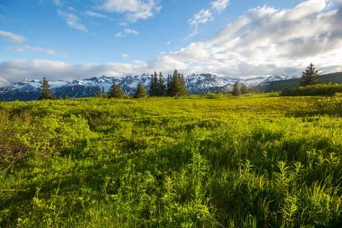 Mountains meadow Fotos de archivo