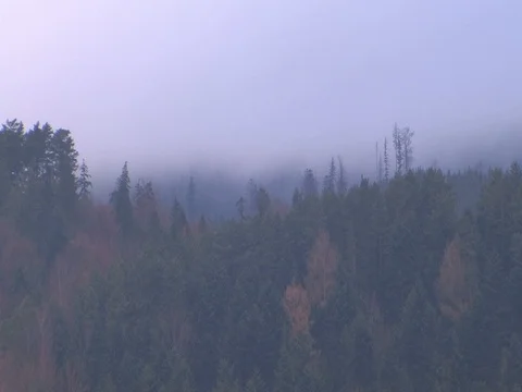 Mountains in the mist Video stock 99010746