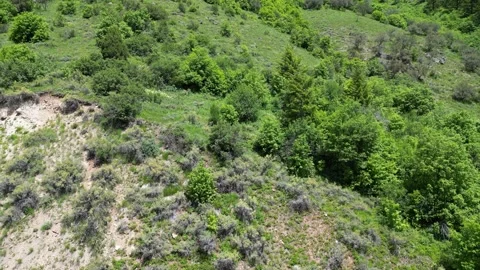 Mountains in Montana 스톡 동영상 280522831