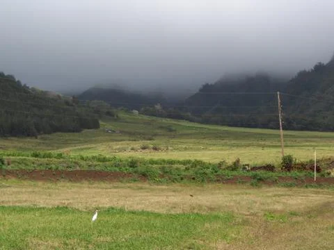 Mountains of Oahu 库存照片