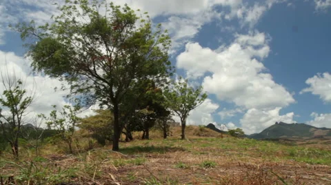 Mountains - palm trees panorama Stock Footage 52514740
