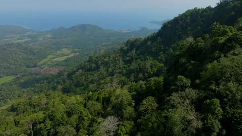Mountains path of Bali. Nature background of a rainforest Stock Footage 254022314