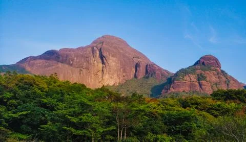 Mountains perched in the forest Stock Photos