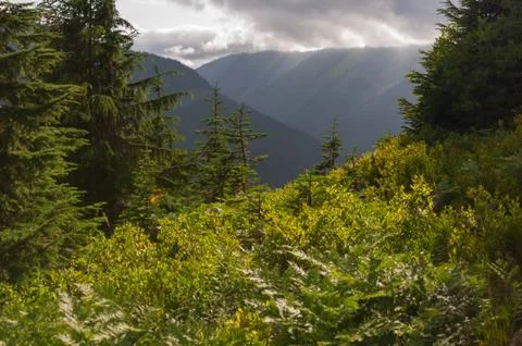 Mountains perspective Stock Photos
