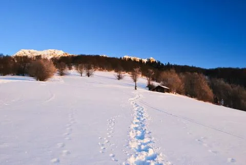In the mountains Stock Photos