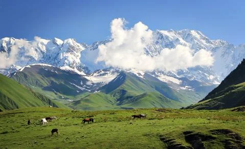 Mountains Stock Photos