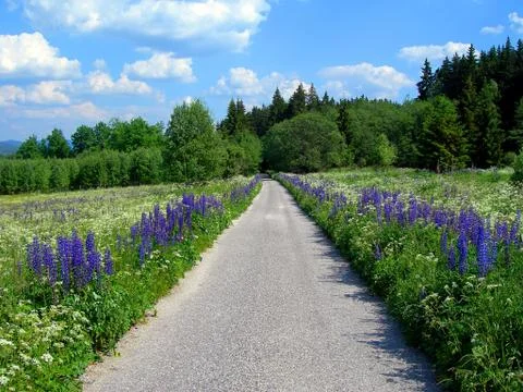 Mountains Stock Photos