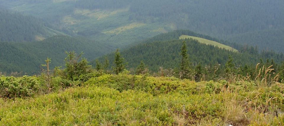 In the mountains Stock Photos