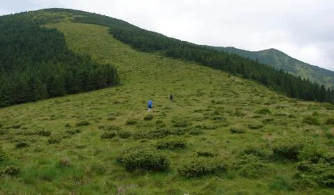 In the mountains Stock Photos