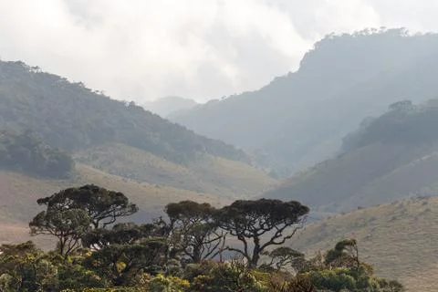 Mountains Stock Photos