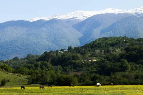 Mountains Stock Photos