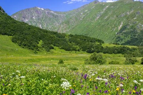 The mountains Stock Photos