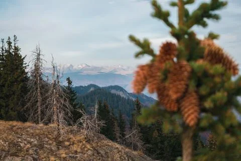 Mountains 스톡 사진