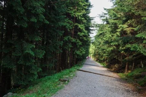 The mountains Stock Photos