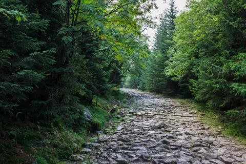 In the mountains Stock Photos