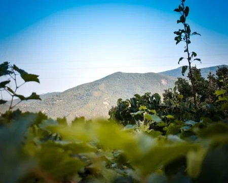 Mountains Stock Photos