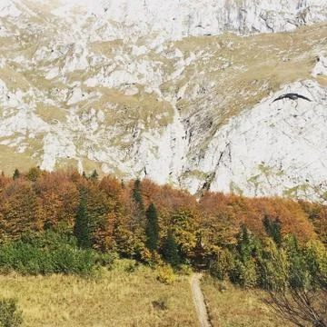 The mountains Stock Photos