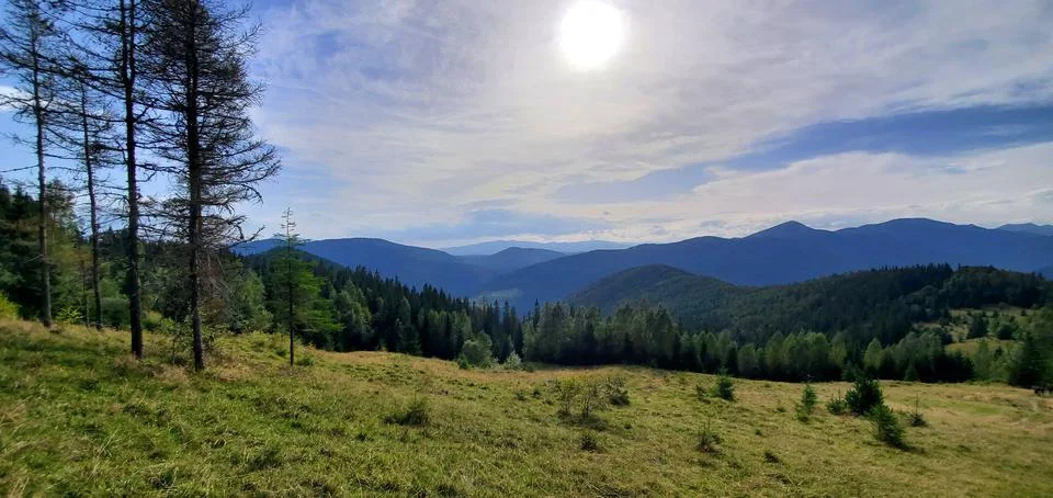 In the mountains Stock Photos