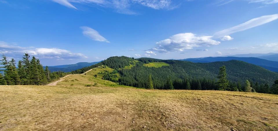 In the mountains Stock Photos
