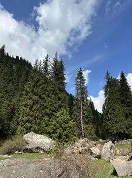 The mountains Foto stock