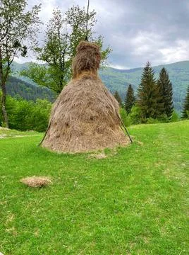 In the mountains 写真素材