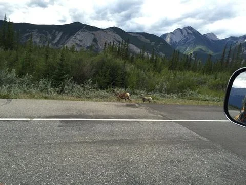 Mountains Stock Photos