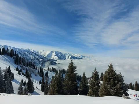 In the mountains Stock Photos