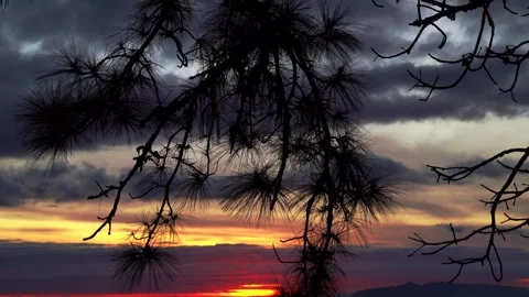 Mountains with pine viwe Stock Footage 249264297