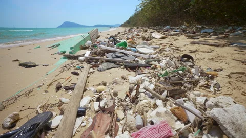 Mountains of Plastic Waste Cover the Sandy Beach of the Ocean Shoreline. Stock Footage 283449104