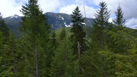 The Mountains of PNW Video stock 160007313