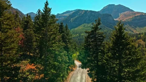 Mountains Pull back Pine Trees Road 4K 30 Stock Footage 138728869