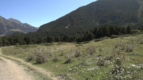 Mountains of the Pyrenees in the Valley of Aran in summer Stock Footage 97645859