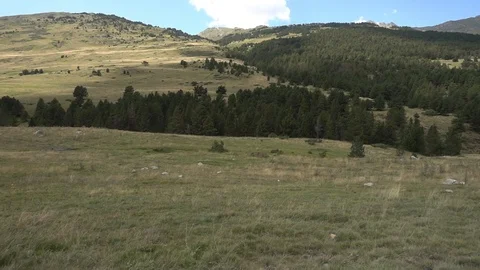 Mountains of the Pyrenees in the Valley of Aran in summer Stock Footage 97715587