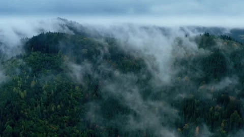 Mountains rain forest weather clouds aerial tree autumn Stock-Footage 150150268
