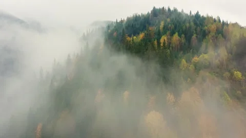 Mountains rain forest weather clouds aerial tree autumn Video stock 150185533
