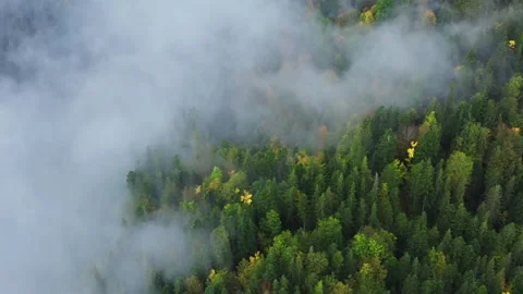Mountains rain forest weather clouds aerial tree autumn Vídeos de archivo 150186981